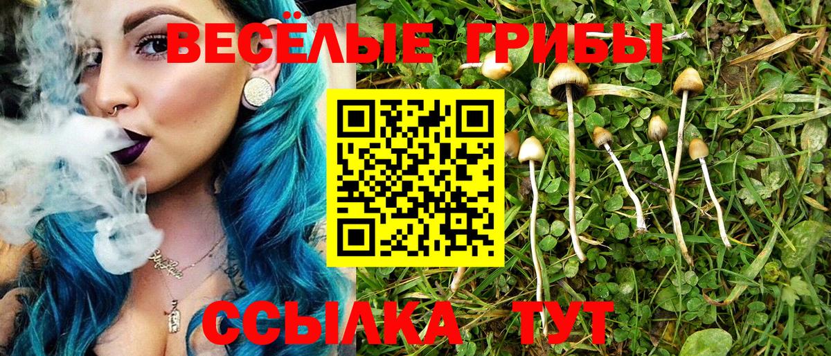 Псилоцибиновые грибы ЛСД Минусинск