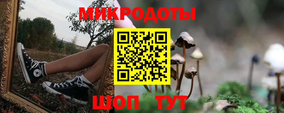 Псилоцибиновые грибы Psilocybe  Вход с VPN  Минусинск  Галлюциногенные грибы Psilocybine cubensis 
